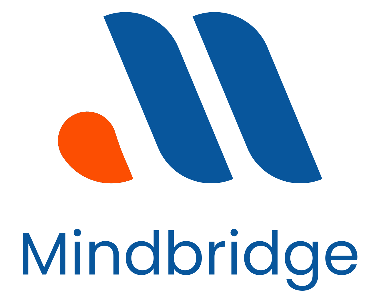 Mindbridge