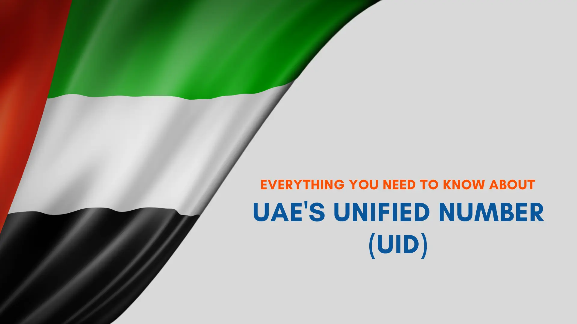 Read more about the article Complete Guide to the Unified Number (UID) in the UAE: Everything You Need to Know