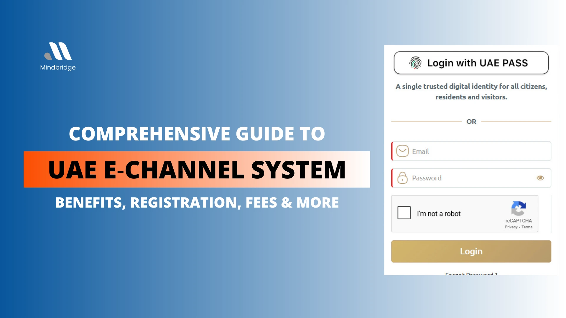 Comprehensive Guide to the UAE E‑Channel System: Benefits, Registration, Fees & More