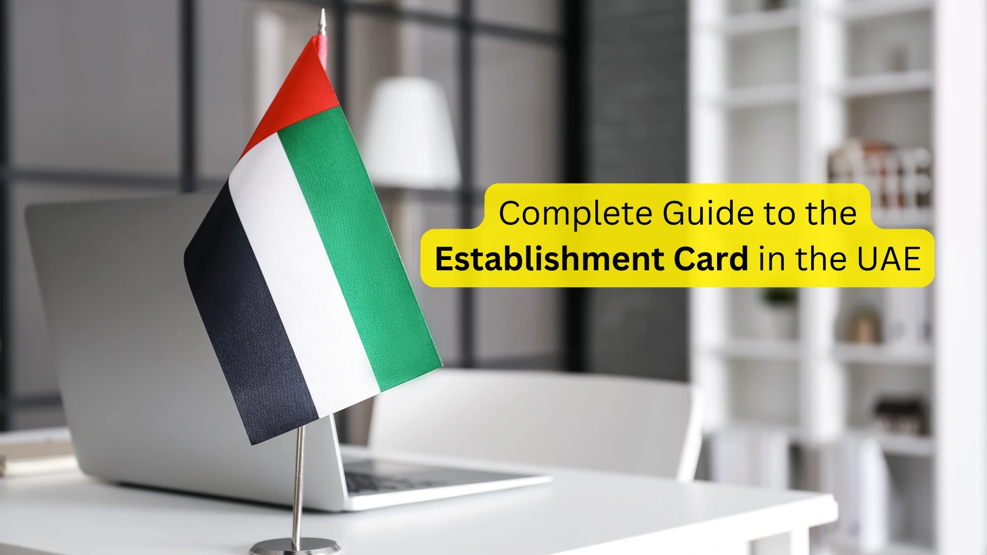 Read more about the article What is the Establishment Card in UAE? A Simple Guide for 2025